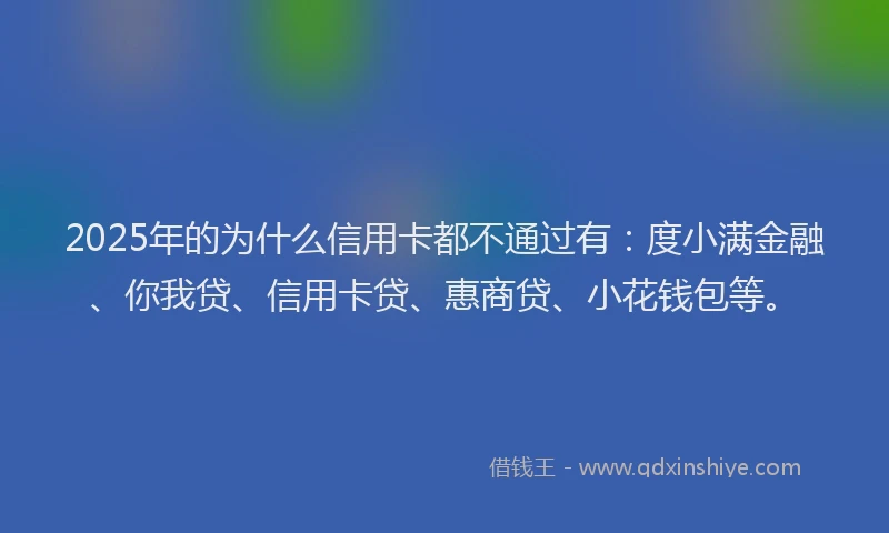 2025年的为什么信用卡都不通过有：度小满金融、你我贷、信用卡贷、惠商贷、小花钱包等。