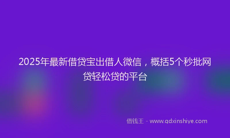 2025年最新借贷宝出借人微信，概括5个秒批网贷轻松贷的平台