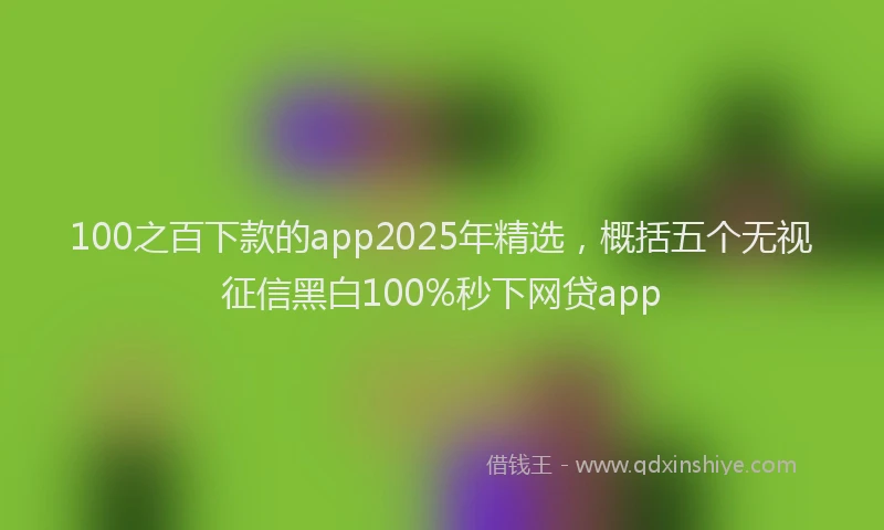 100之百下款的app2025年精选，概括五个无视征信黑白100%秒下网贷app