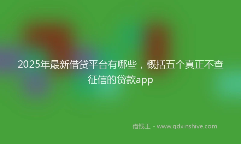 2025年最新借贷平台有哪些，概括五个真正不查征信的贷款app