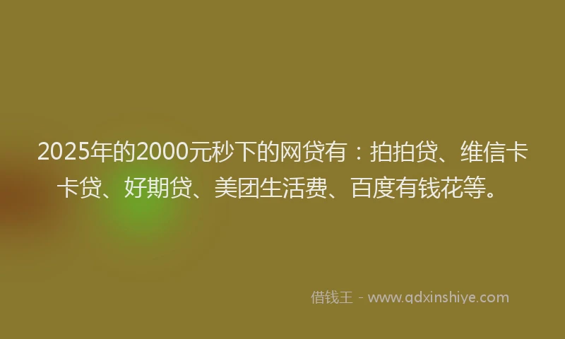 2025年的2000元秒下的网贷有：拍拍贷、维信卡卡贷、好期贷、美团生活费、百度有钱花等。