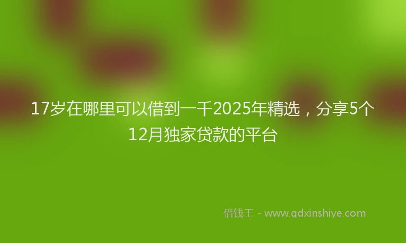 17岁在哪里可以借到一千2025年精选，分享5个12月独家贷款的平台
