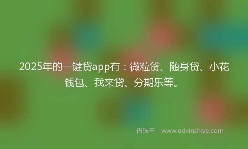 2025年的一键贷app有：微粒贷、随身贷、小花钱包、我来贷、分期乐等。