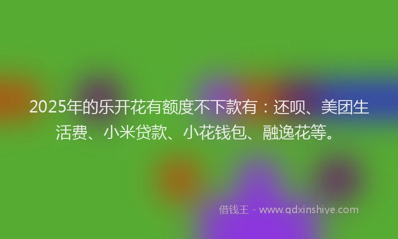 2025年的乐开花有额度不下款有：还呗、美团生活费、小米贷款、小花钱包、融逸花等。