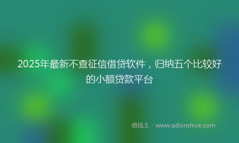 2025年最新不查征信借贷软件，归纳五个比较好的小额贷款平台