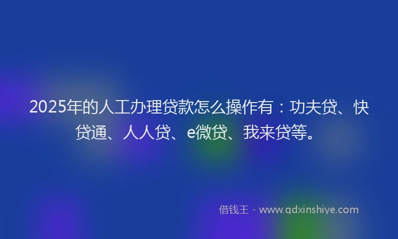 2025年的人工办理贷款怎么操作有：功夫贷、快贷通、人人贷、e微贷、我来贷等。