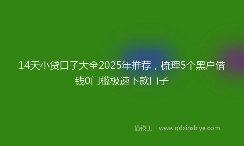 14天小贷口子大全2025年推荐，梳理5个黑户借钱0门槛极速下款口子