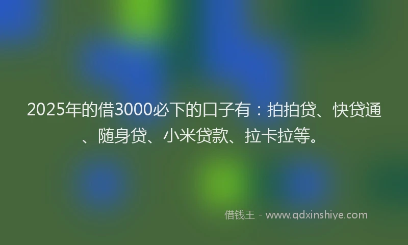2025年的借3000必下的口子有：拍拍贷、快贷通、随身贷、小米贷款、拉卡拉等。