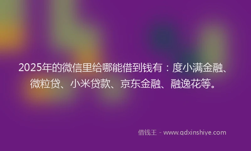 2025年的微信里给哪能借到钱有：度小满金融、微粒贷、小米贷款、京东金融、融逸花等。