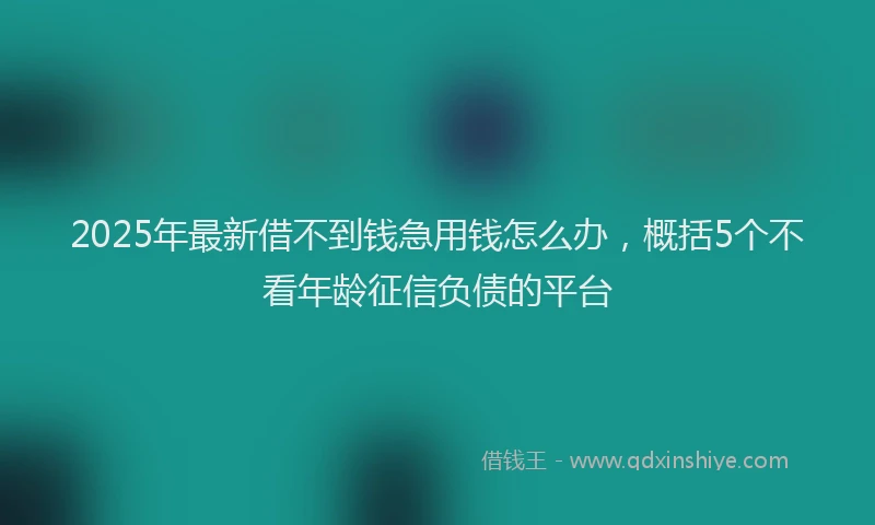 2025年最新借不到钱急用钱怎么办，概括5个不看年龄征信负债的平台
