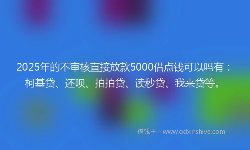 2025年的不审核直接放款5000借点钱可以吗有：柯基贷、还呗、拍拍贷、读秒贷、我来贷等。