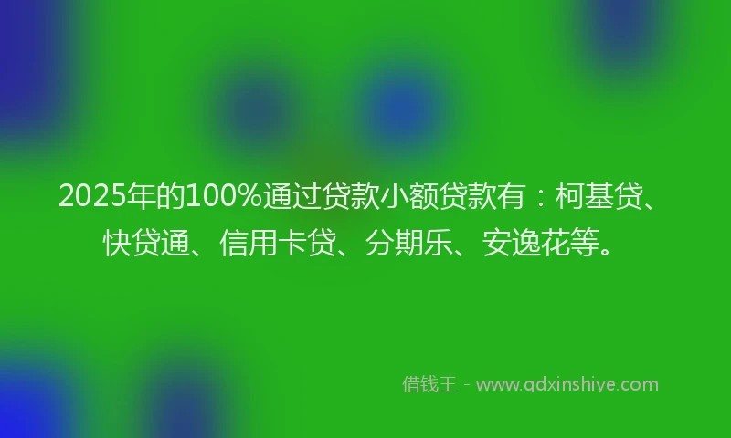 2025年的100%通过贷款小额贷款有：柯基贷、快贷通、信用卡贷、分期乐、安逸花等。