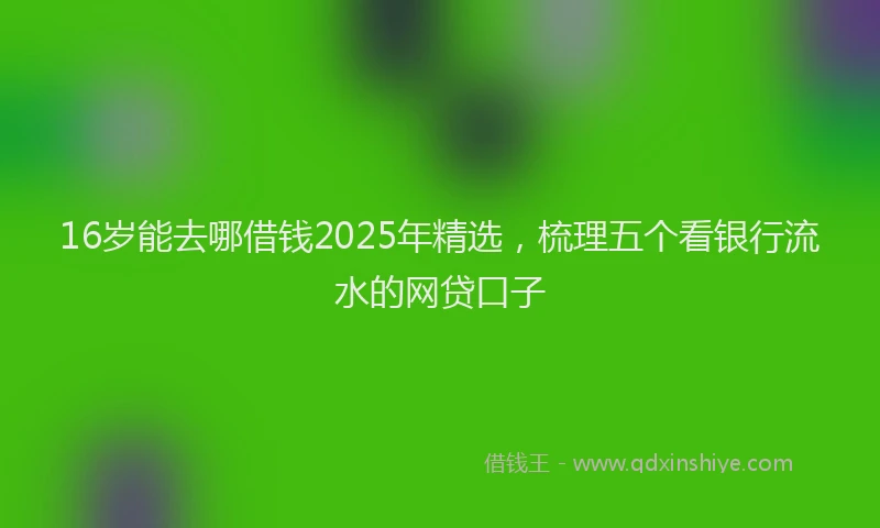16岁能去哪借钱2025年精选，梳理五个看银行流水的网贷口子