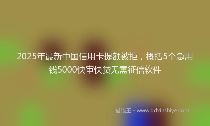 2025年最新中国信用卡提额被拒，概括5个急用钱5000快审快贷无需征信软件