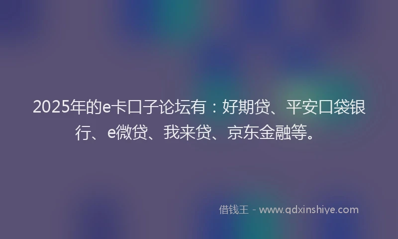 2025年的e卡口子论坛有：好期贷、平安口袋银行、e微贷、我来贷、京东金融等。