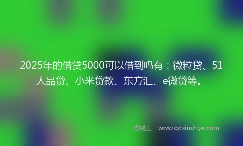 2025年的借贷5000可以借到吗有：微粒贷、51人品贷、小米贷款、东方汇、e微贷等。