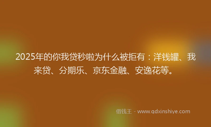 2025年的你我贷秒啦为什么被拒有：洋钱罐、我来贷、分期乐、京东金融、安逸花等。