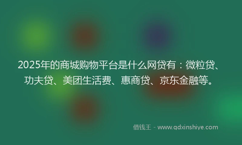 2025年的商城购物平台是什么网贷有：微粒贷、功夫贷、美团生活费、惠商贷、京东金融等。