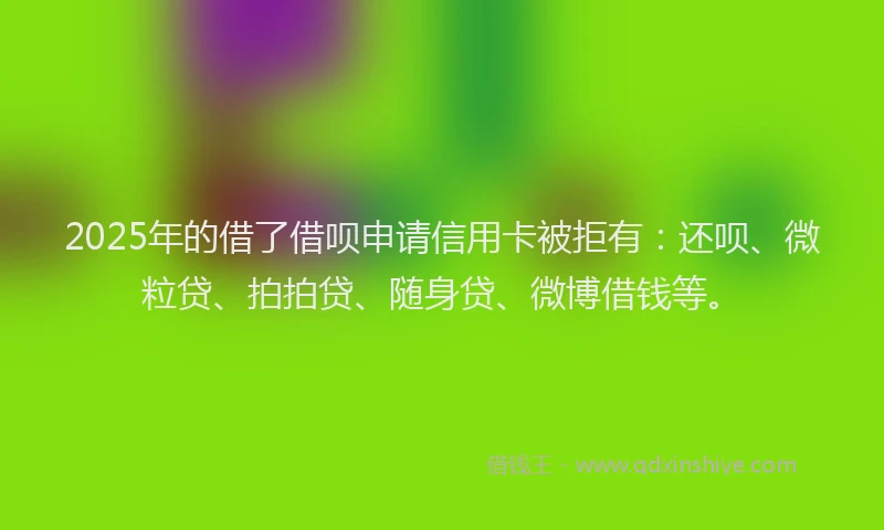 2025年的借了借呗申请信用卡被拒有：还呗、微粒贷、拍拍贷、随身贷、微博借钱等。