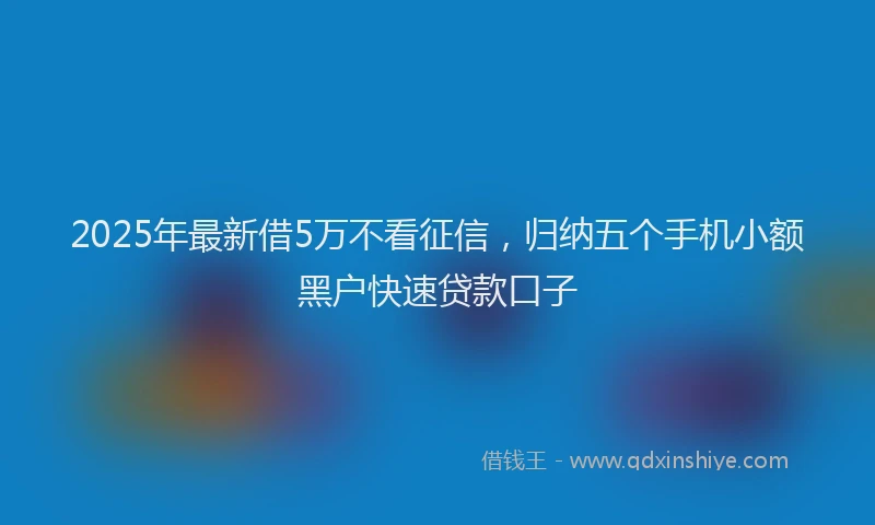 2025年最新借5万不看征信，归纳五个手机小额黑户快速贷款口子
