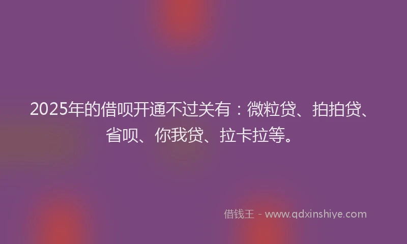 2025年的借呗开通不过关有：微粒贷、拍拍贷、省呗、你我贷、拉卡拉等。