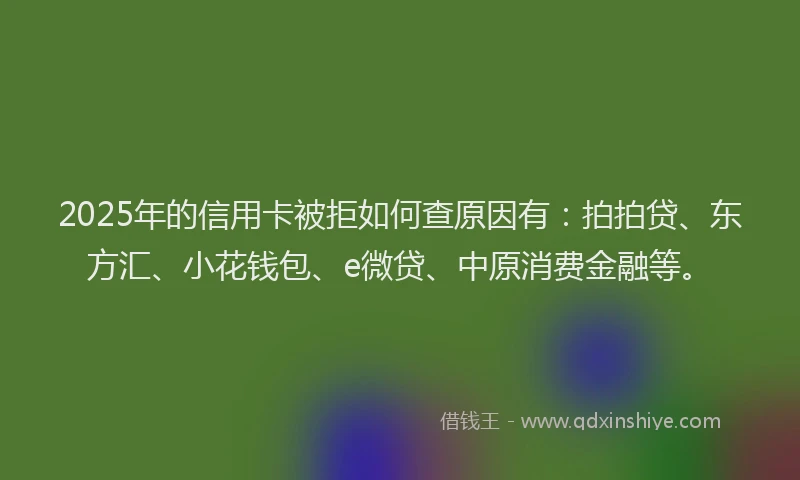 2025年的信用卡被拒如何查原因有：拍拍贷、东方汇、小花钱包、e微贷、中原消费金融等。