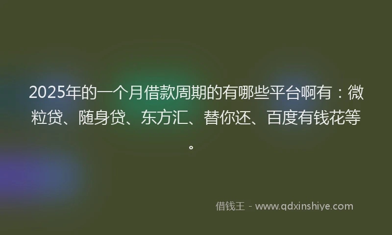 2025年的一个月借款周期的有哪些平台啊有：微粒贷、随身贷、东方汇、替你还、百度有钱花等。