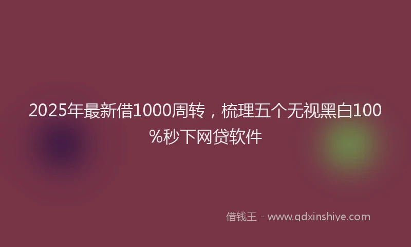 2025年最新借1000周转，梳理五个无视黑白100%秒下网贷软件