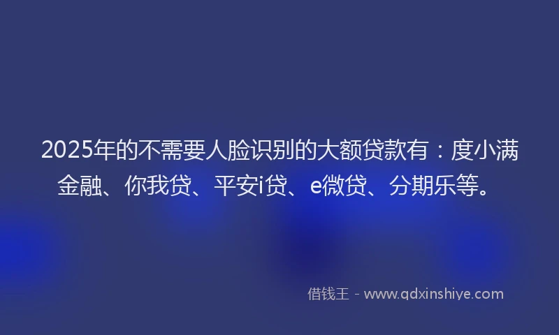 2025年的不需要人脸识别的大额贷款有：度小满金融、你我贷、平安i贷、e微贷、分期乐等。