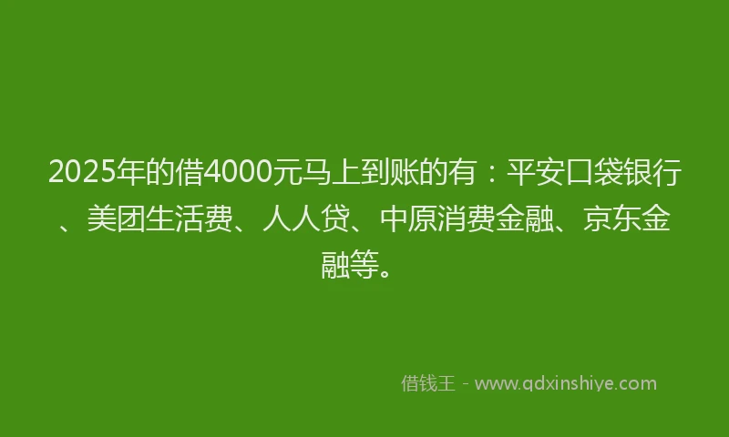 2025年的借4000元马上到账的有：平安口袋银行、美团生活费、人人贷、中原消费金融、京东金融等。