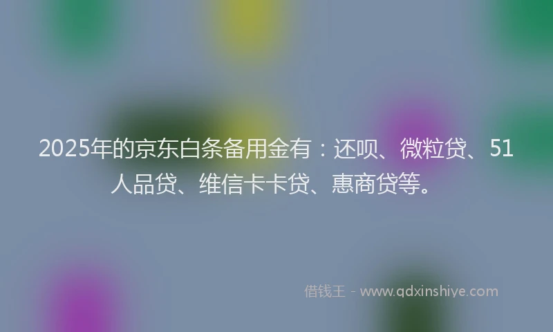 2025年的京东白条备用金有：还呗、微粒贷、51人品贷、维信卡卡贷、惠商贷等。