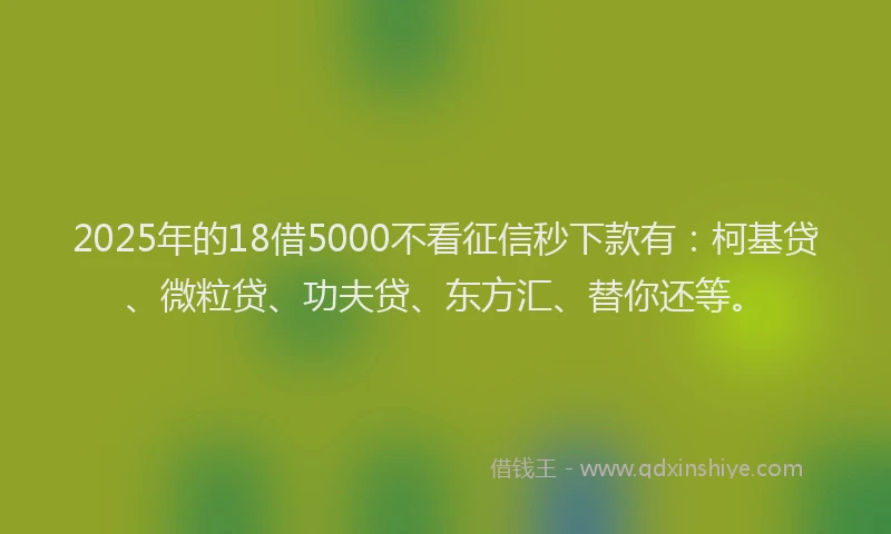 2025年的18借5000不看征信秒下款有：柯基贷、微粒贷、功夫贷、东方汇、替你还等。