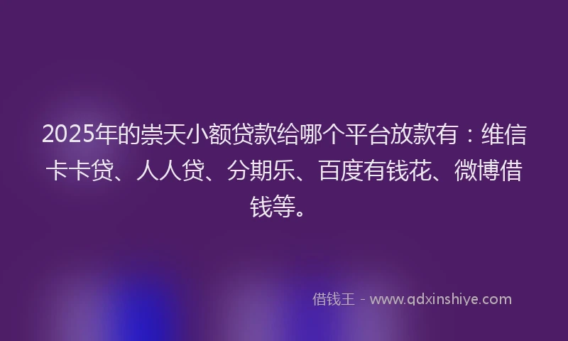 2025年的崇天小额贷款给哪个平台放款有：维信卡卡贷、人人贷、分期乐、百度有钱花、微博借钱等。