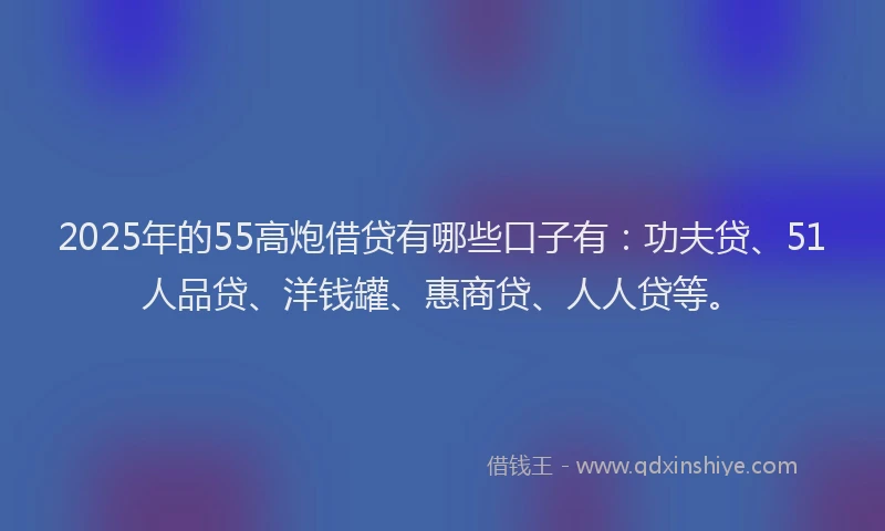 2025年的55高炮借贷有哪些口子有：功夫贷、51人品贷、洋钱罐、惠商贷、人人贷等。