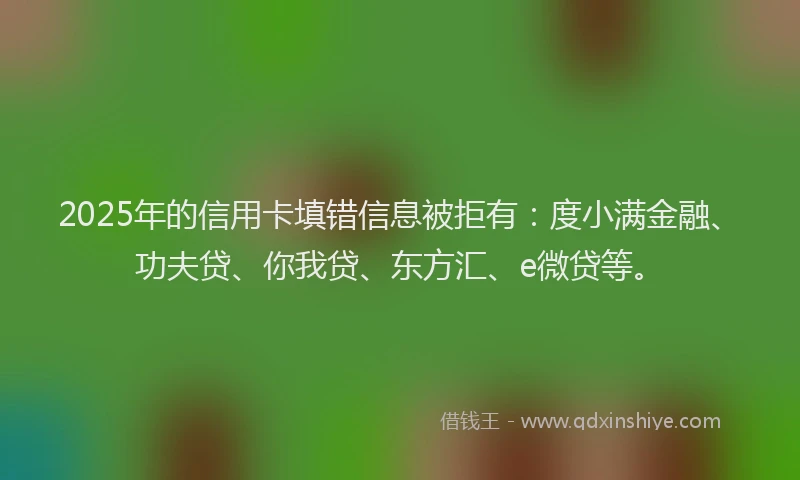 2025年的信用卡填错信息被拒有：度小满金融、功夫贷、你我贷、东方汇、e微贷等。