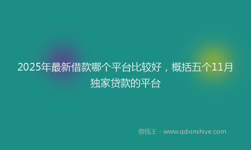 2025年最新借款哪个平台比较好，概括五个11月独家贷款的平台