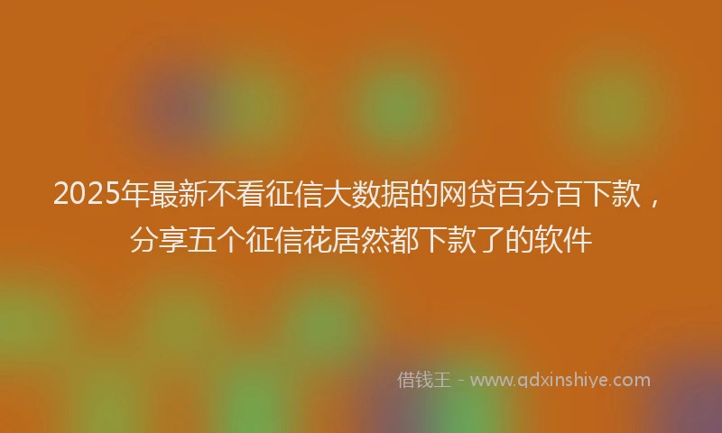 2025年最新不看征信大数据的网贷百分百下款，分享五个征信花居然都下款了的软件