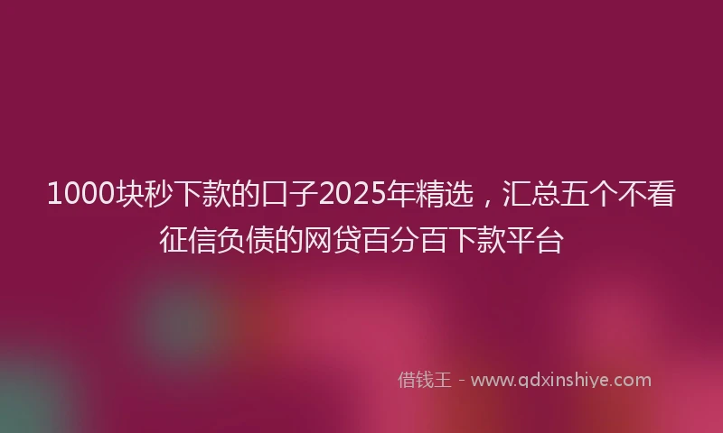 1000块秒下款的口子2025年精选，汇总五个不看征信负债的网贷百分百下款平台