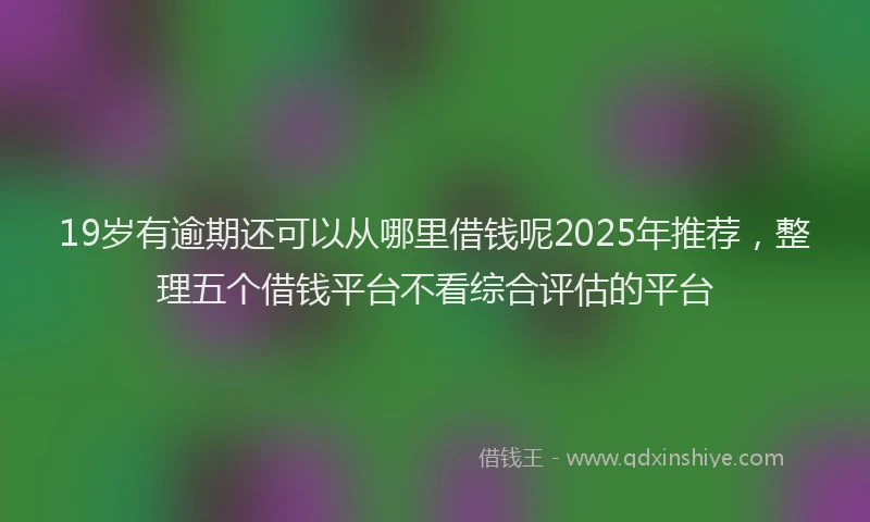 19岁有逾期还可以从哪里借钱呢2025年推荐，整理五个借钱平台不看综合评估的平台
