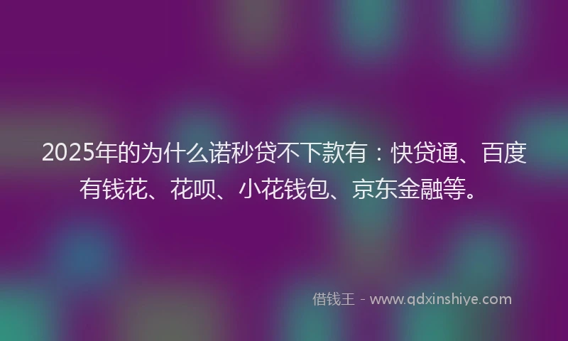 2025年的为什么诺秒贷不下款有：快贷通、百度有钱花、花呗、小花钱包、京东金融等。