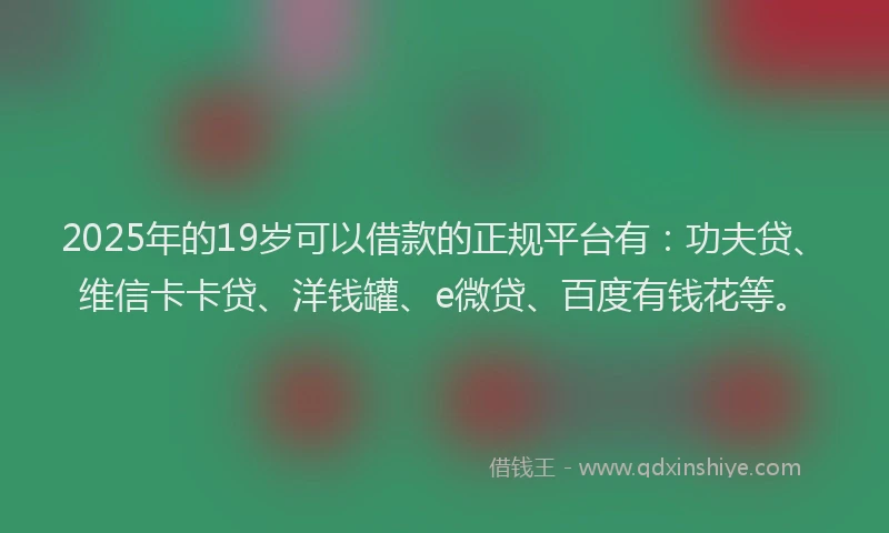 2025年的19岁可以借款的正规平台有：功夫贷、维信卡卡贷、洋钱罐、e微贷、百度有钱花等。