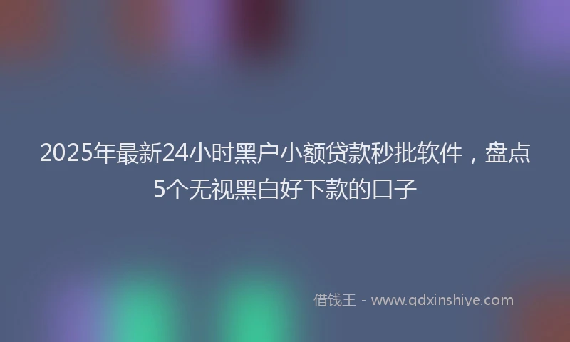 2025年最新24小时黑户小额贷款秒批软件，盘点5个无视黑白好下款的口子