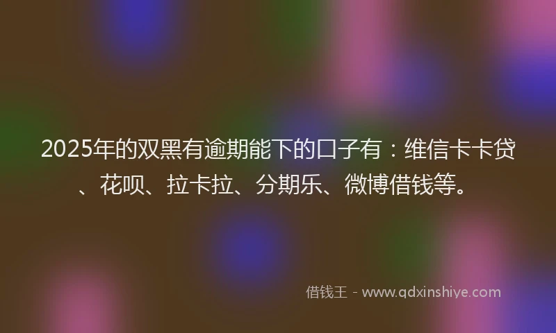 2025年的双黑有逾期能下的口子有：维信卡卡贷、花呗、拉卡拉、分期乐、微博借钱等。