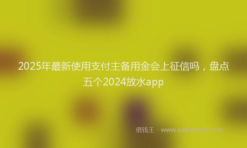 2025年最新使用支付主备用金会上征信吗，盘点五个2024放水app