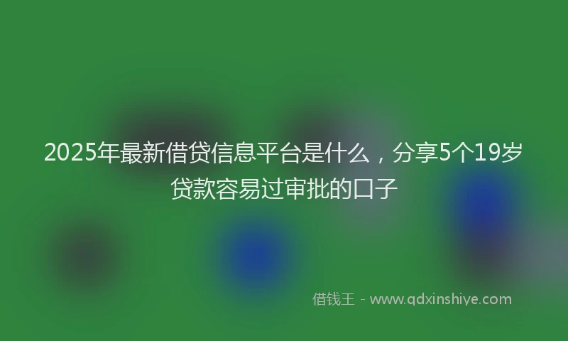 2025年最新借贷信息平台是什么，分享5个19岁贷款容易过审批的口子