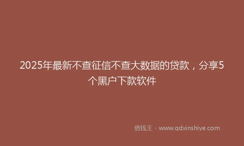 2025年最新不查征信不查大数据的贷款，分享5个黑户下款软件