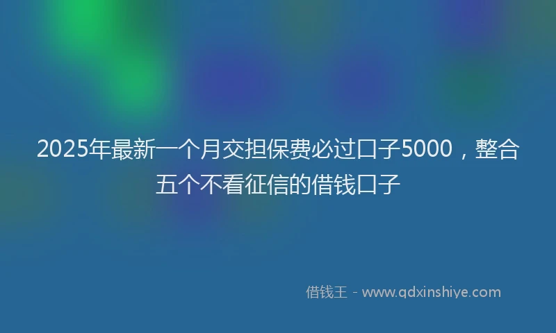 2025年最新一个月交担保费必过口子5000，整合五个不看征信的借钱口子