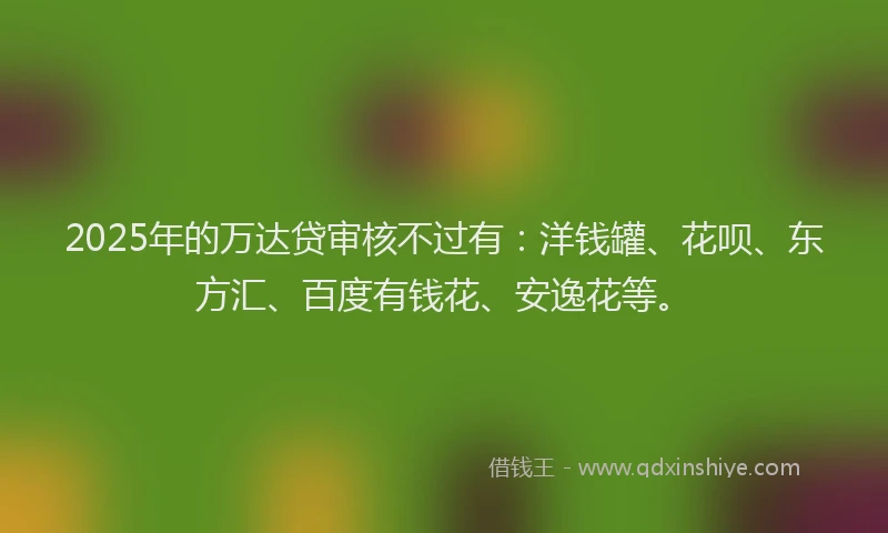 2025年的万达贷审核不过有：洋钱罐、花呗、东方汇、百度有钱花、安逸花等。