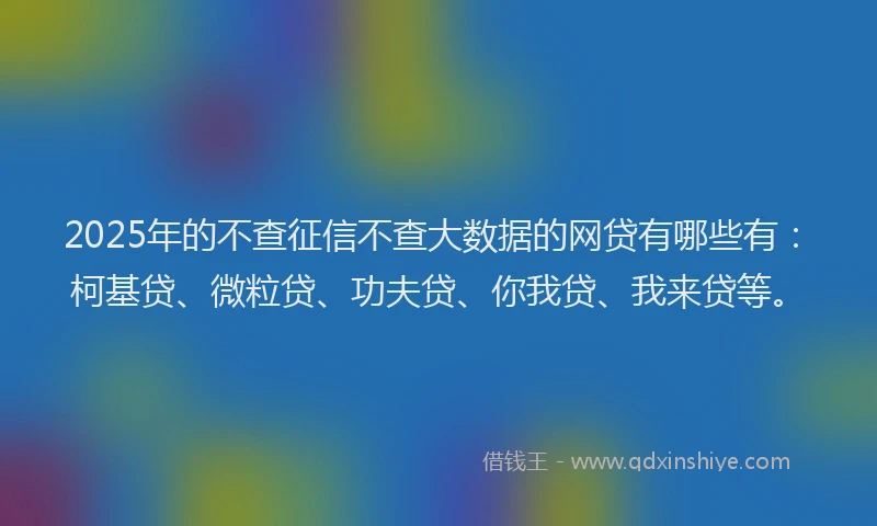 2025年的不查征信不查大数据的网贷有哪些有：柯基贷、微粒贷、功夫贷、你我贷、我来贷等。