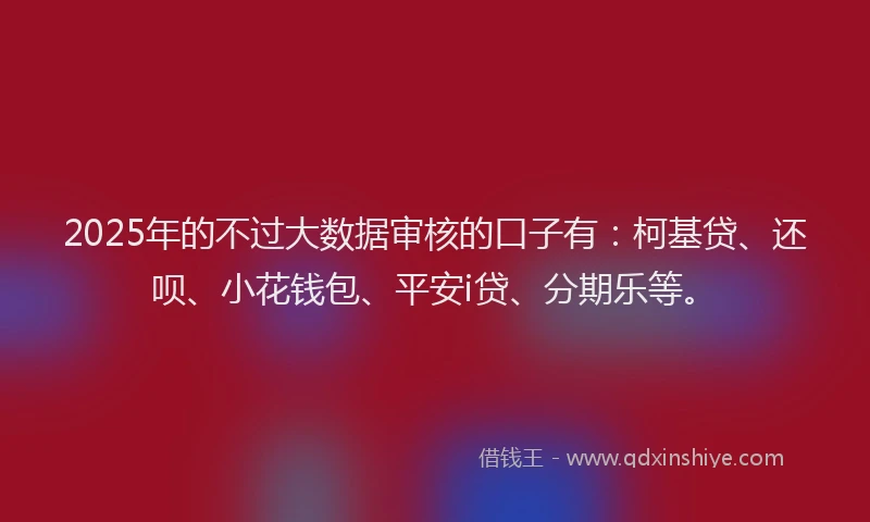 2025年的不过大数据审核的口子有：柯基贷、还呗、小花钱包、平安i贷、分期乐等。